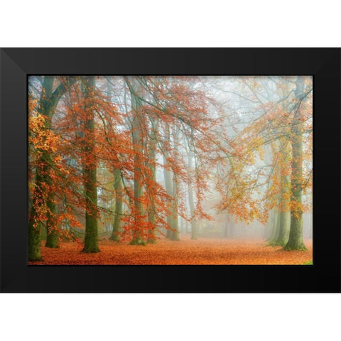 Autumn Mist Black Modern Wood Framed Art Print by Van de Goor, Lars
