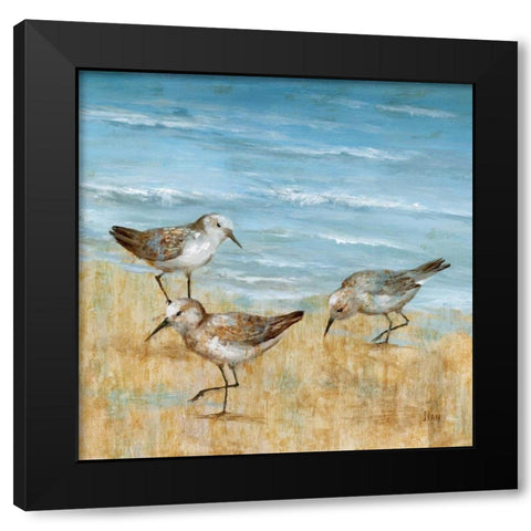 Sandpipers II Black Modern Wood Framed Art Print with Double Matting by Nan