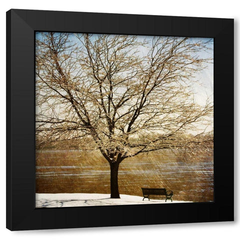 Lonely Tree in the Sun Black Modern Wood Framed Art Print with Double Matting by Craven, Katrina
