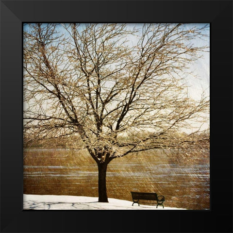 Lonely Tree in the Sun Black Modern Wood Framed Art Print by Craven, Katrina