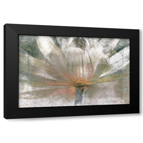 Lily Light Black Modern Wood Framed Art Print by Calascibetta, Mike