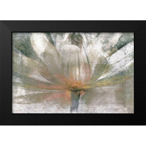 Lily Light Black Modern Wood Framed Art Print by Calascibetta, Mike