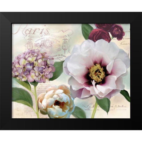 Soft Petals I Black Modern Wood Framed Art Print by Robinson, Carol