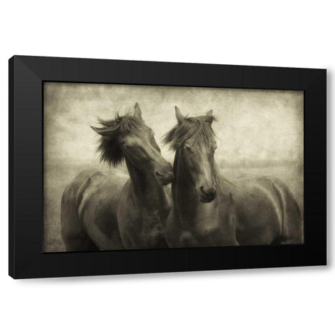 Horses Dont Whisper Black Modern Wood Framed Art Print by Van de Goor, Lars