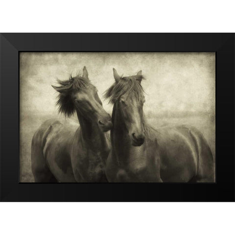 Horses Dont Whisper Black Modern Wood Framed Art Print by Van de Goor, Lars