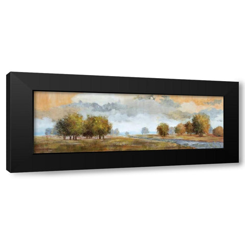 Meadow Vista I Black Modern Wood Framed Art Print with Double Matting by Nan