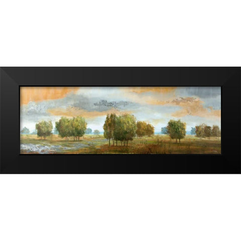 Meadow Vista II Black Modern Wood Framed Art Print by Nan