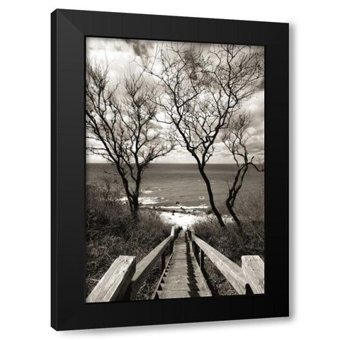 Cutchogue Horton Point Lighthouse Stairs Black Modern Wood Framed Art Print by Delimont, Danita
