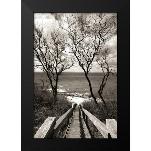 Cutchogue Horton Point Lighthouse Stairs Black Modern Wood Framed Art Print by Delimont, Danita