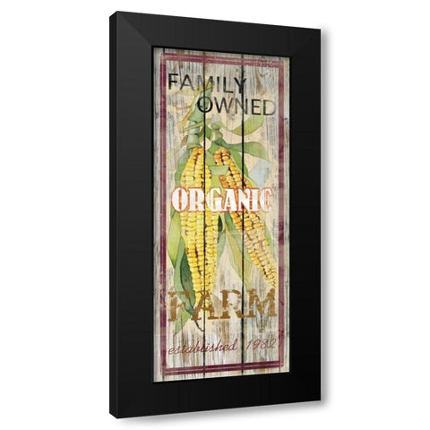 Corn Black Modern Wood Framed Art Print by Robinson, Carol