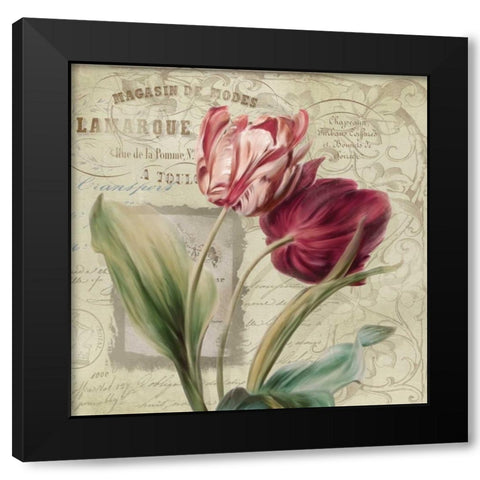 French Tulips I Black Modern Wood Framed Art Print by Robinson, Carol
