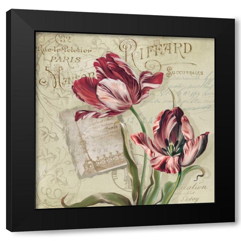French Tulips II Black Modern Wood Framed Art Print with Double Matting by Robinson, Carol
