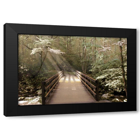 Footbridge Black Modern Wood Framed Art Print by Nan