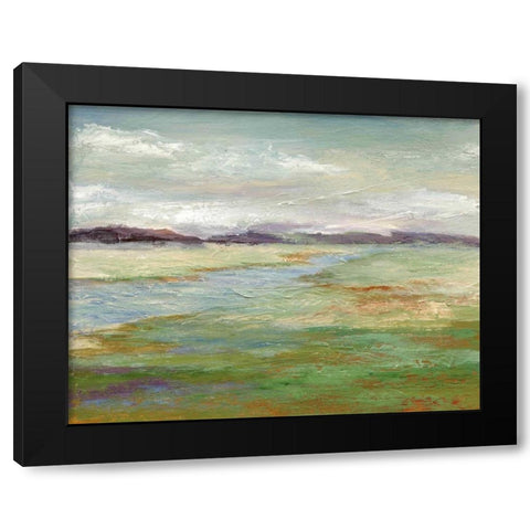 Meadow Stream II Black Modern Wood Framed Art Print by Nan