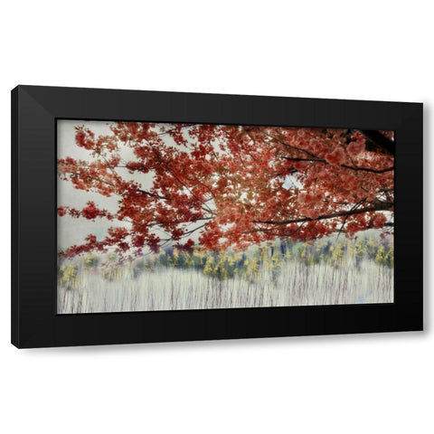 Sakura in the Lake II Black Modern Wood Framed Art Print by Weisz, Irene