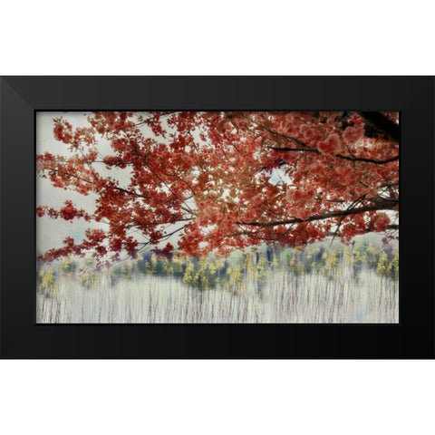 Sakura in the Lake II Black Modern Wood Framed Art Print by Weisz, Irene