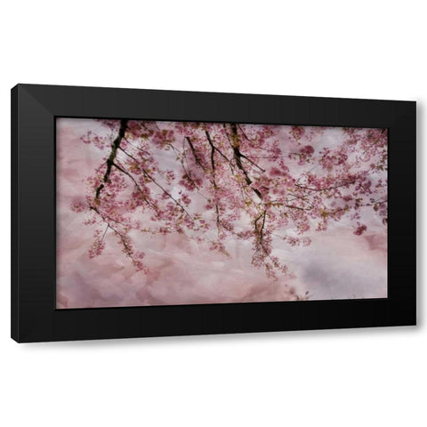 Joy of Spring Black Modern Wood Framed Art Print with Double Matting by Weisz, Irene