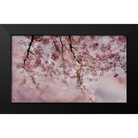 Joy of Spring Black Modern Wood Framed Art Print by Weisz, Irene