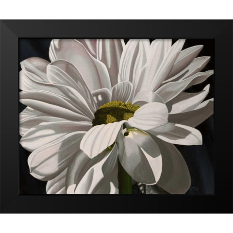Black Tie Daisy Black Modern Wood Framed Art Print by Macoce, Ellen