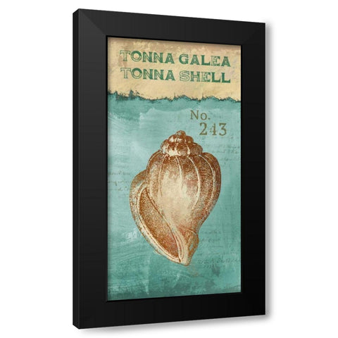 Tonna Shell Black Modern Wood Framed Art Print with Double Matting by Knutsen, Conrad