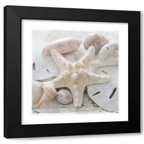 Sanibel I Black Modern Wood Framed Art Print with Double Matting by Jackson, Susan