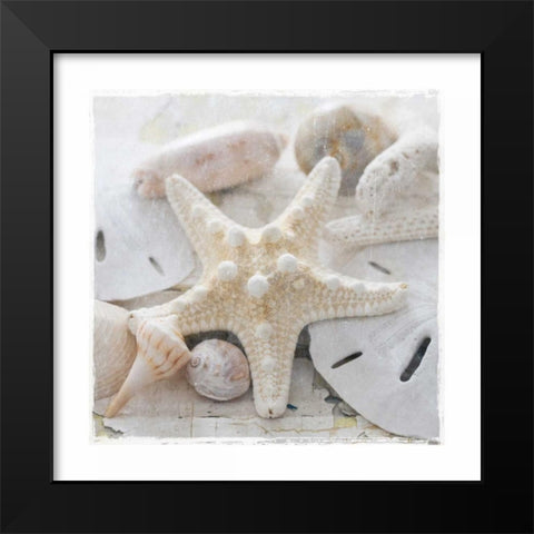 Sanibel I Black Modern Wood Framed Art Print by Jackson, Susan