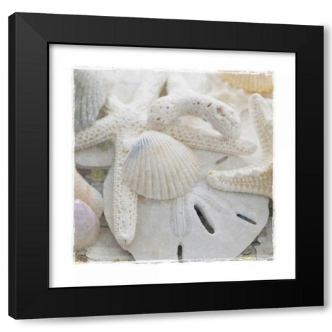 Sanibel III Black Modern Wood Framed Art Print by Jackson, Susan