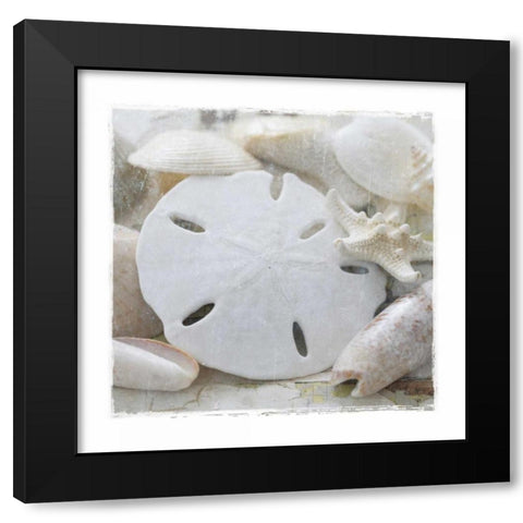 Sanibel IV Black Modern Wood Framed Art Print by Jackson, Susan