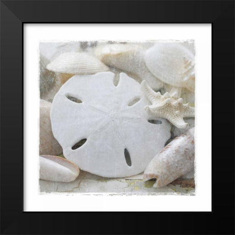 Sanibel IV Black Modern Wood Framed Art Print by Jackson, Susan