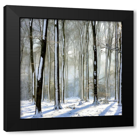 Enchanted Forest Black Modern Wood Framed Art Print with Double Matting by Van de Goor, Lars