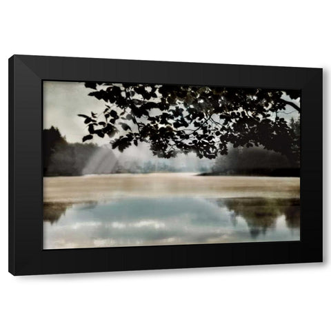 Morning Bliss II Black Modern Wood Framed Art Print by Weisz, Irene