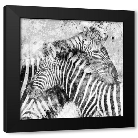 Zebra Pair Black Modern Wood Framed Art Print with Double Matting by Robinson, Carol