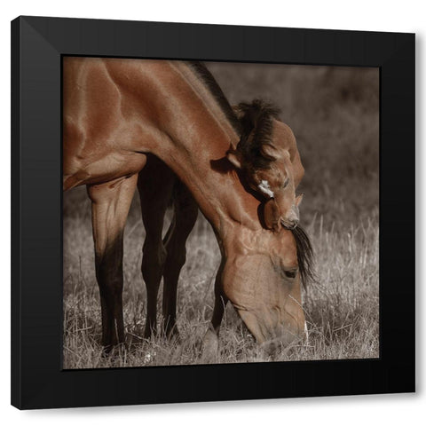 Unbroken Bond Black Modern Wood Framed Art Print by Van de Goor, Lars