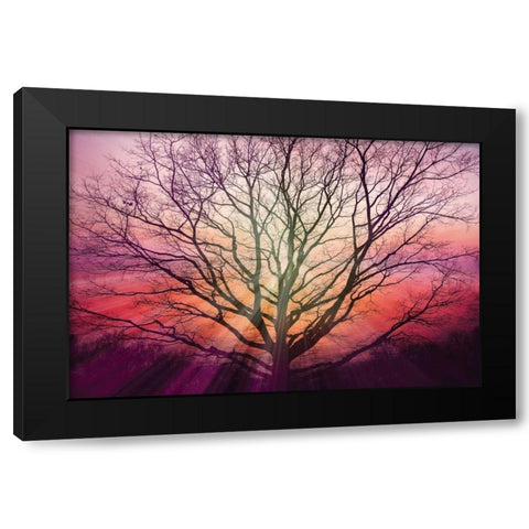 Sunburst Sentinel Black Modern Wood Framed Art Print by Weisz, Irene