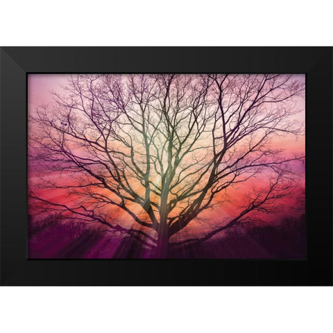 Sunburst Sentinel Black Modern Wood Framed Art Print by Weisz, Irene
