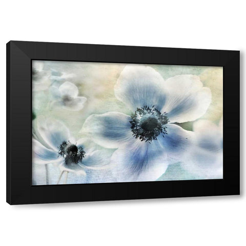 Anemone Cheer Black Modern Wood Framed Art Print by Weisz, Irene