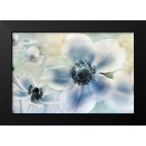 Anemone Cheer Black Modern Wood Framed Art Print by Weisz, Irene