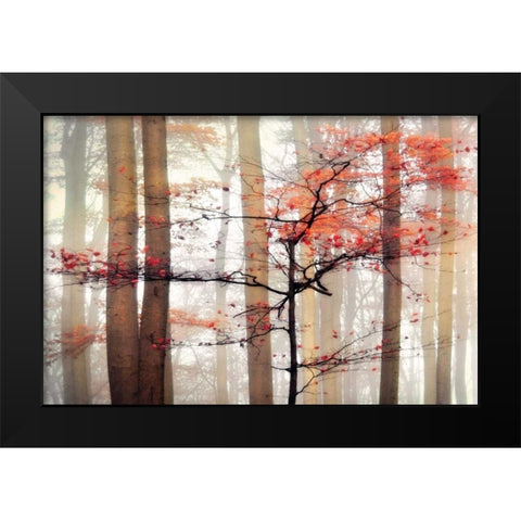Orange Awakening Black Modern Wood Framed Art Print by Weisz, Irene