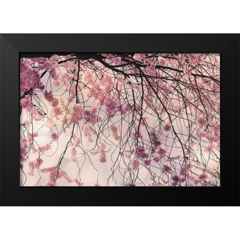 Spring Song Black Modern Wood Framed Art Print by Weisz, Irene