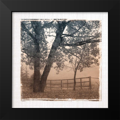 Foggy Light I Black Modern Wood Framed Art Print by Robinson, Carol