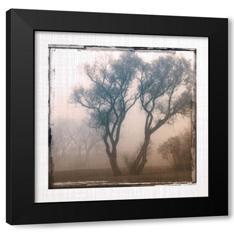 Foggy Light II Black Modern Wood Framed Art Print by Robinson, Carol
