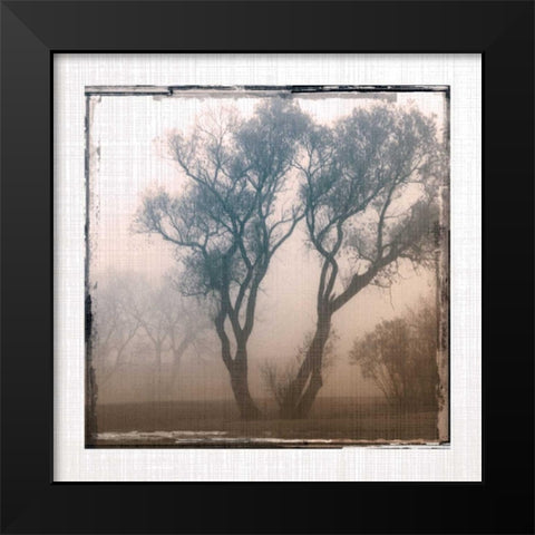 Foggy Light II Black Modern Wood Framed Art Print by Robinson, Carol