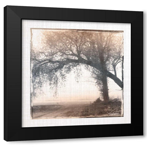 Foggy Light III Black Modern Wood Framed Art Print by Robinson, Carol