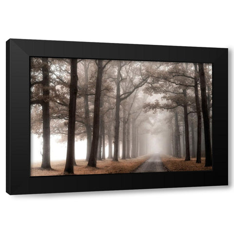 Misty Road Black Modern Wood Framed Art Print by Van de Goor, Lars