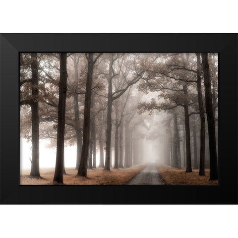 Misty Road Black Modern Wood Framed Art Print by Van de Goor, Lars