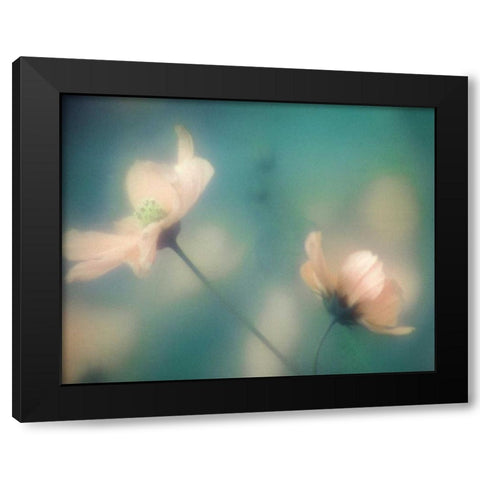 Blush Moment Black Modern Wood Framed Art Print with Double Matting by Delimont, Danita