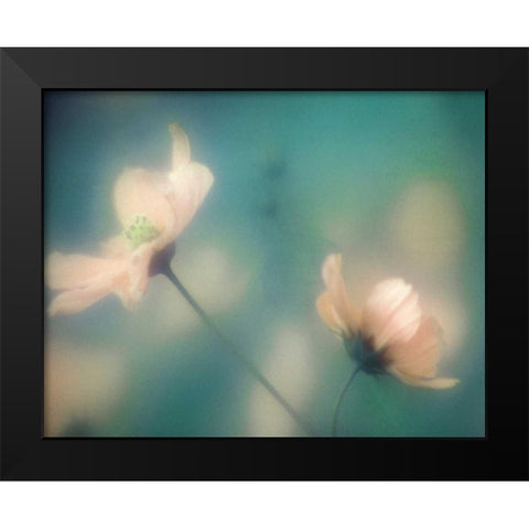 Blush Moment Black Modern Wood Framed Art Print by Delimont, Danita