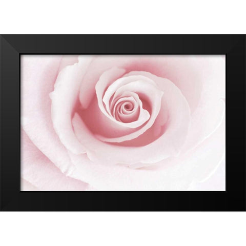 Rose Embrace Black Modern Wood Framed Art Print by Delimont, Danita
