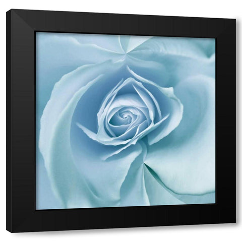 Blue Embrace Black Modern Wood Framed Art Print with Double Matting by Delimont, Danita