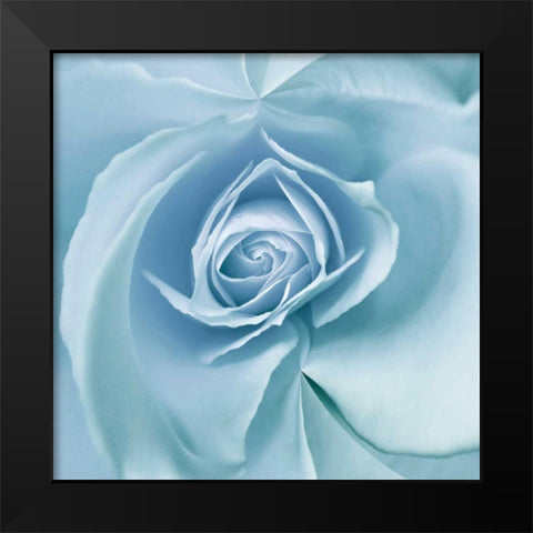 Blue Embrace Black Modern Wood Framed Art Print by Delimont, Danita
